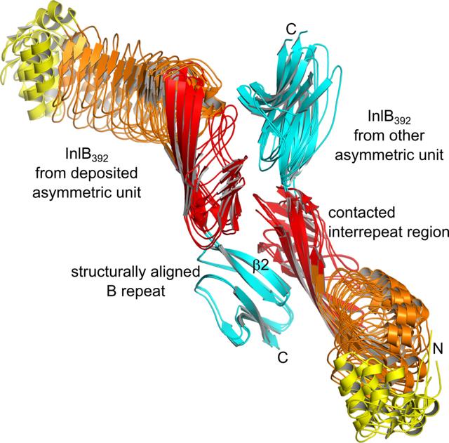 [Figure 4]