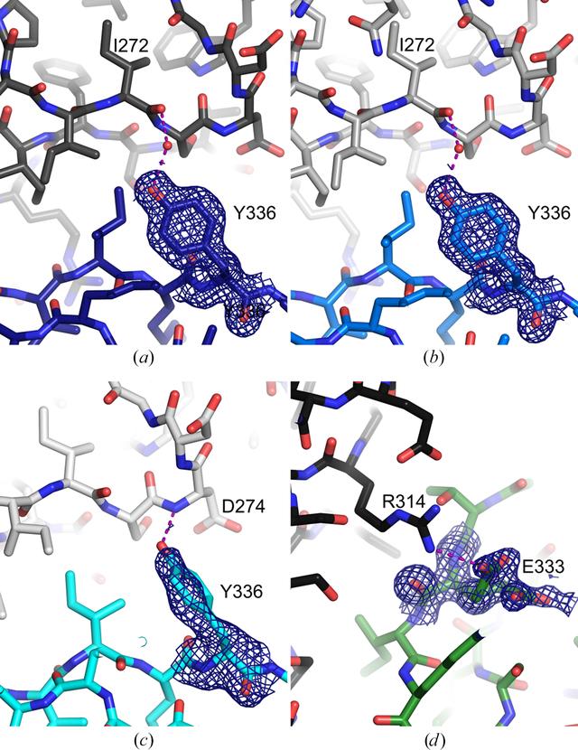 [Figure 6]