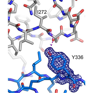 Single mutations to tyrosine or glutamate improve the crystallizability and crystal diffraction properties of a flexible two-domain protein