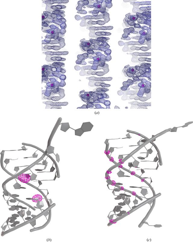 [Figure 1]