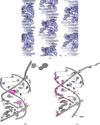 [Figure 1]