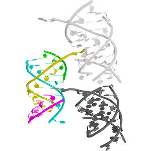 Crystal structure of a tRNA acceptor-stem mimic at 1.94 Å resolution