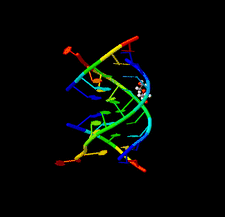 Highlighted illustration
