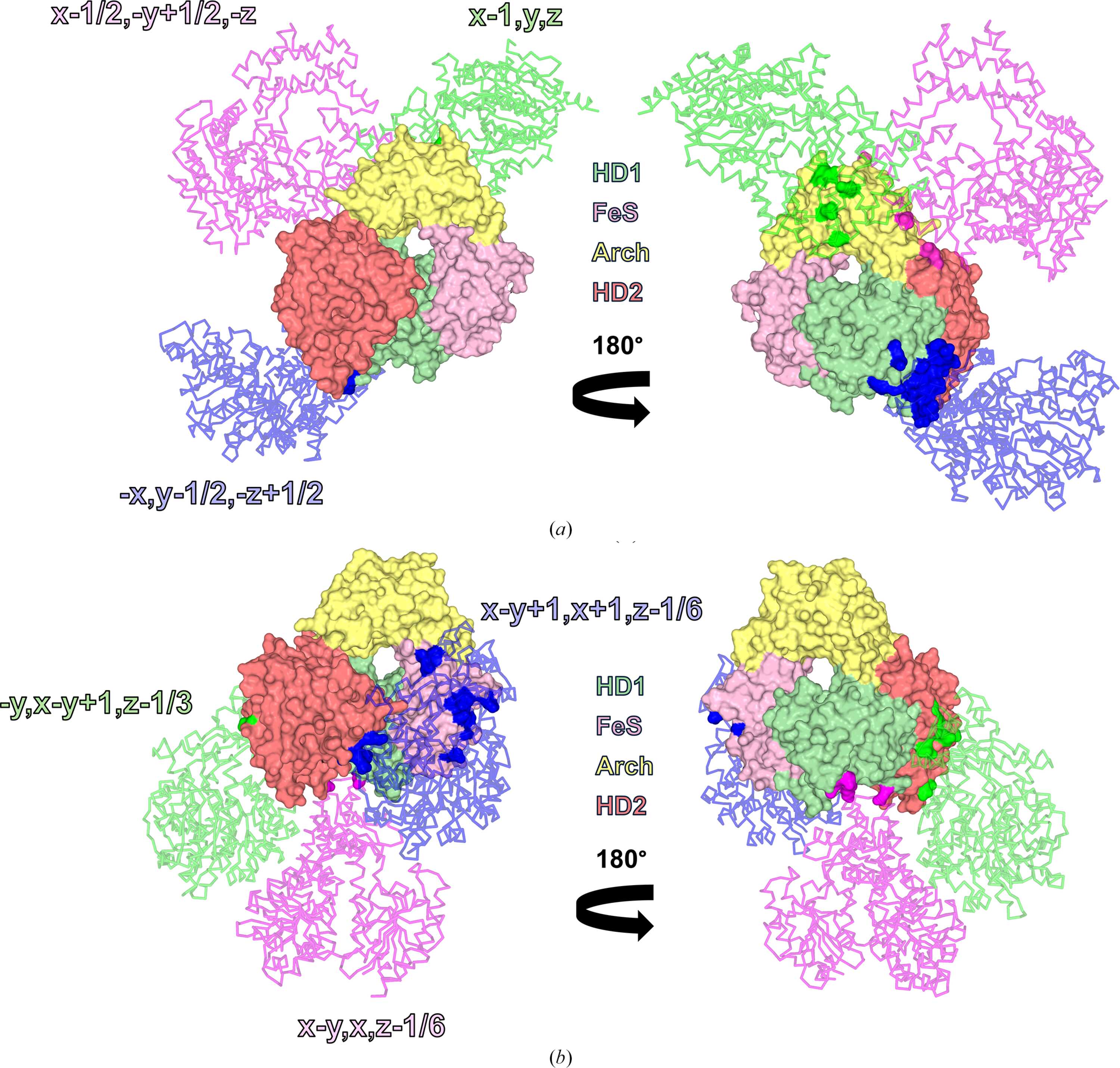 (IUCr) A new crystal form of the DNA-free full-length XPD helicase from ...