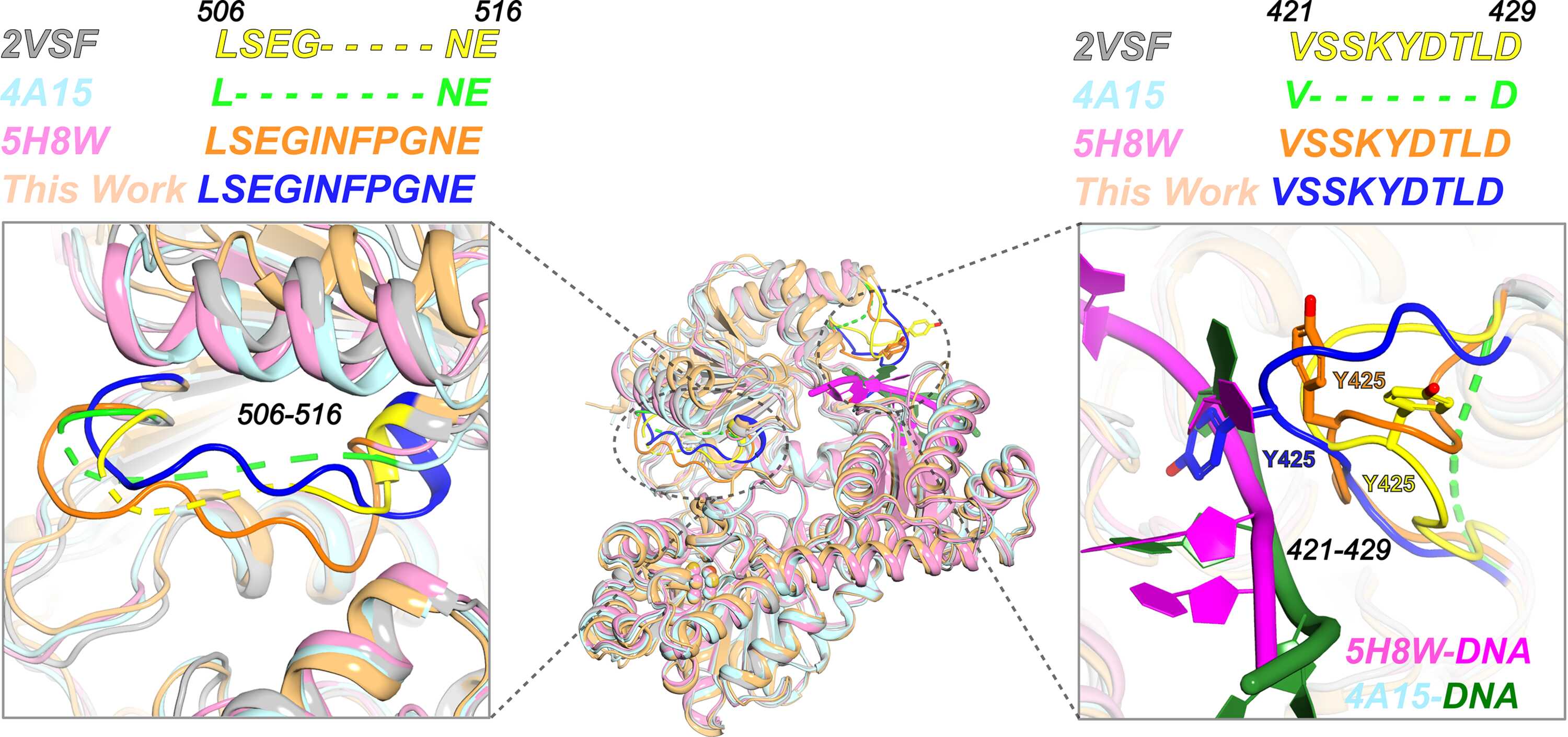 (IUCr) A new crystal form of the DNA-free full-length XPD helicase from ...