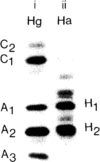[Figure 1]