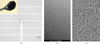 [Figure 4]