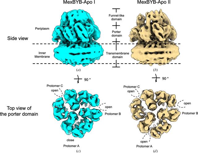 [Figure 1]