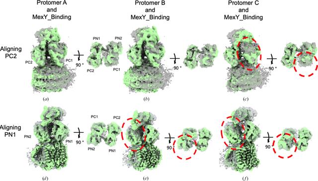 [Figure 5]