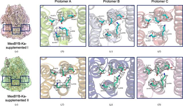 [Figure 6]