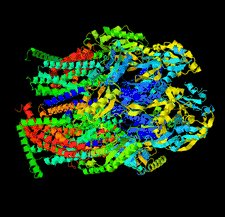 Highlighted illustration