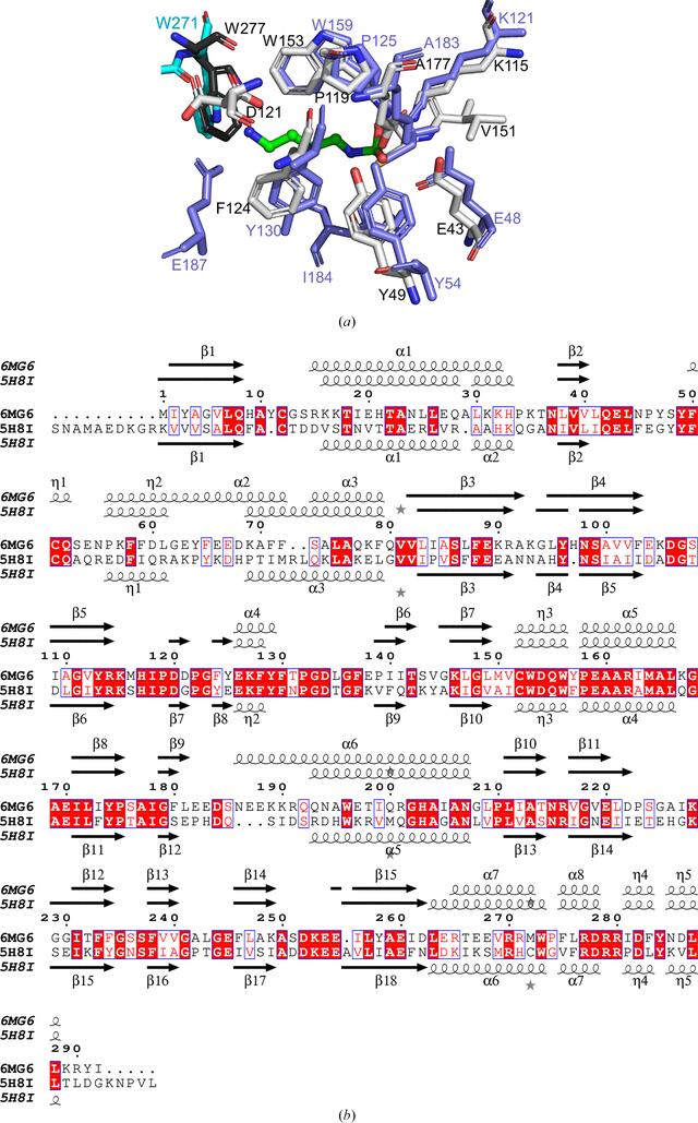 [Figure 4]