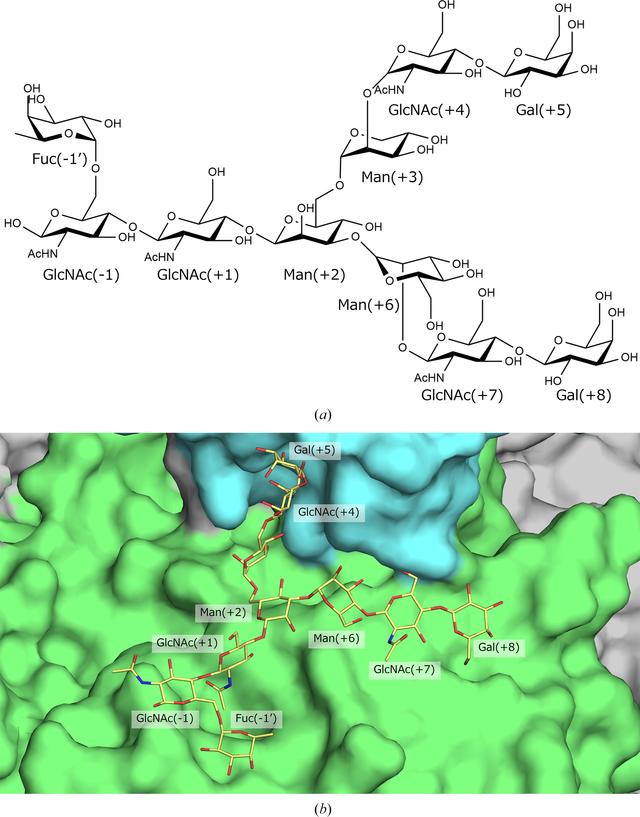 [Figure 3]