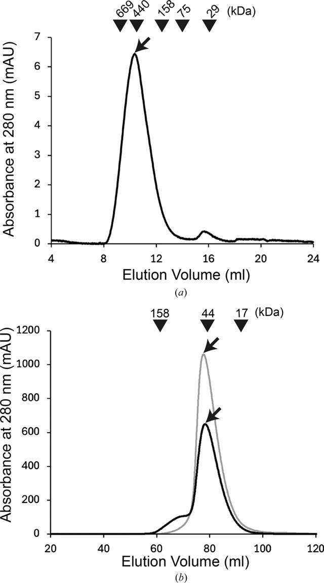 [Figure 2]