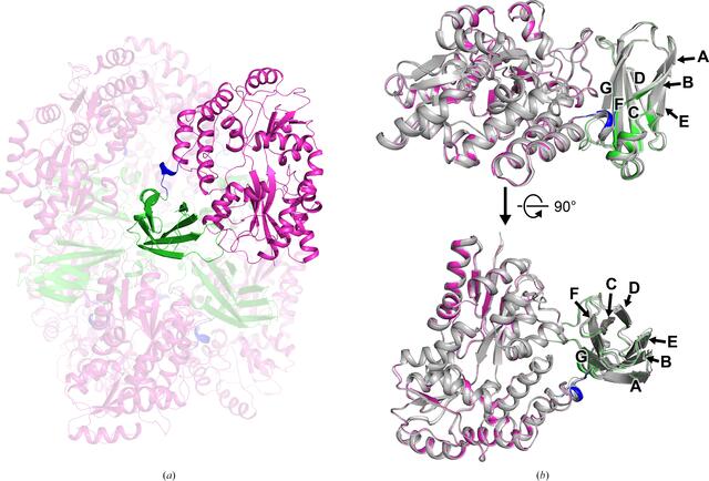 [Figure 4]