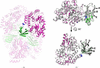 [Figure 4]
