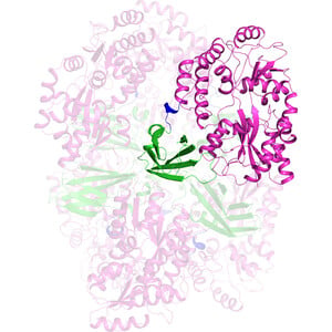 Crystallization and X-ray structure of a highly aggregation-prone monobody engineered for high-affinity small-molecule recognition