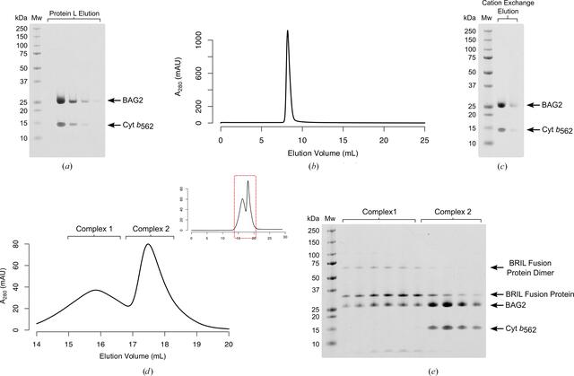[Figure 1]