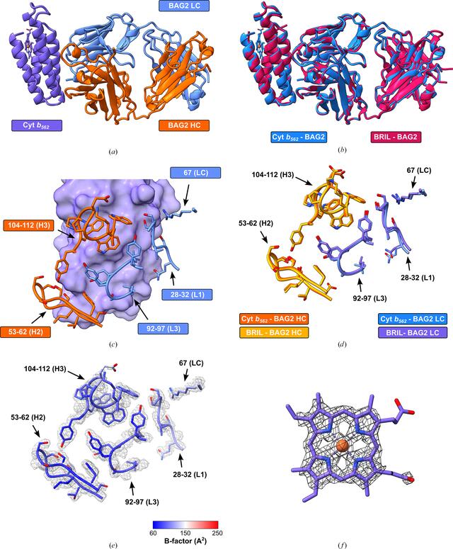 [Figure 2]