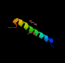 Highlighted illustration