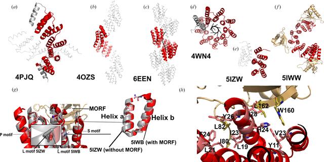 [Figure 4]