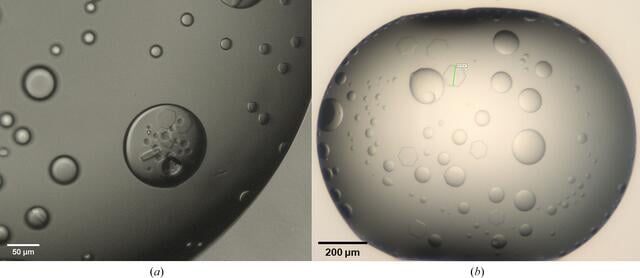 [Figure 3]