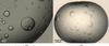 [Figure 3]