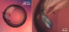 [Figure 5]