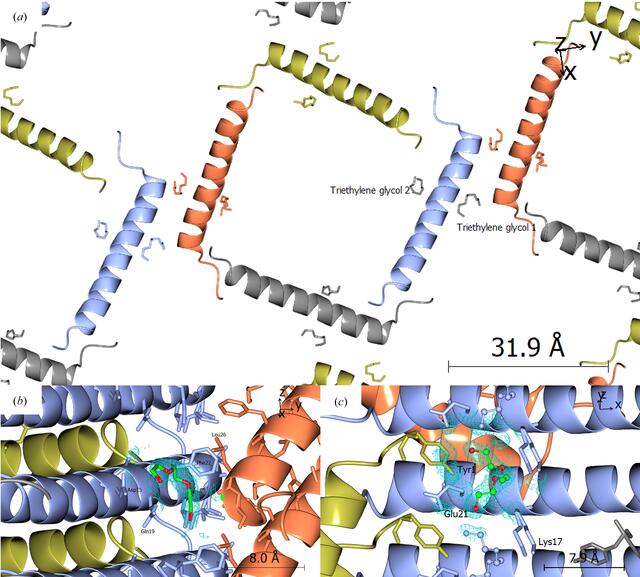 [Figure 7]