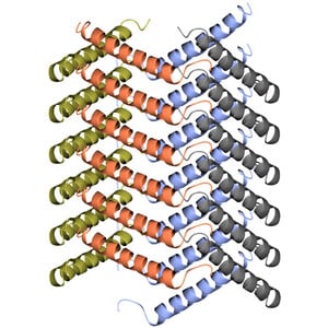 Crystallization and 1.6 Å resolution crystal structure of an acylated GLP-1/GIP analogue peptide