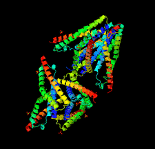 Highlighted illustration
