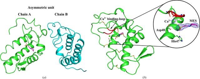 [Figure 3]