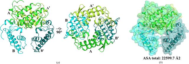 [Figure 5]