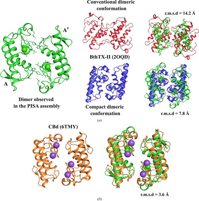 [Figure 6]