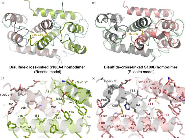 [Figure 3]