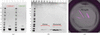 [Figure 1]