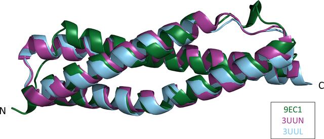 [Figure 2]