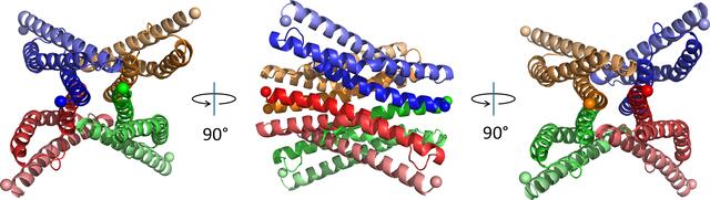 [Figure 3]