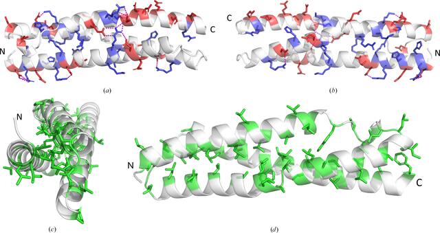 [Figure 5]