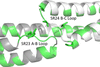 [Figure 6]