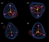 [Figure 1]