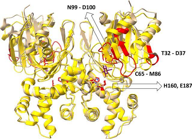[Figure 2]