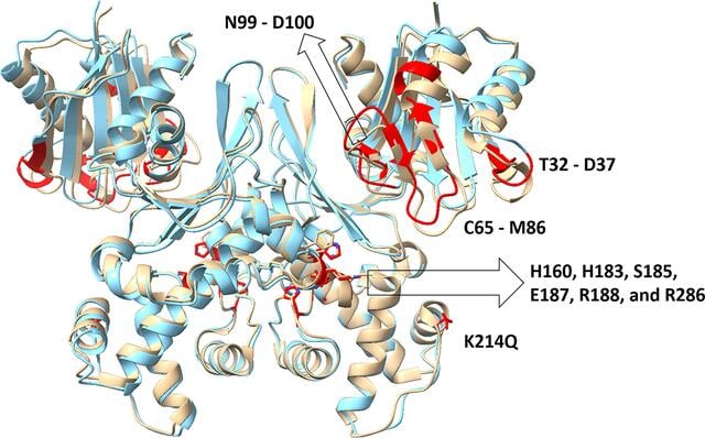 [Figure 3]