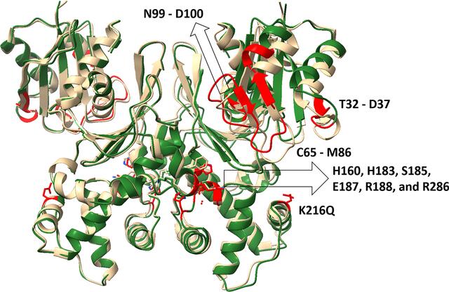 [Figure 5]