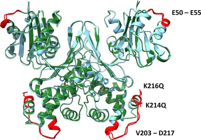 [Figure 7]