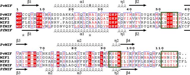 [Figure 3]