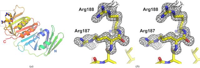 [Figure 1]