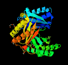 Highlighted illustration