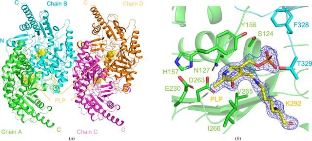 [Figure 1]