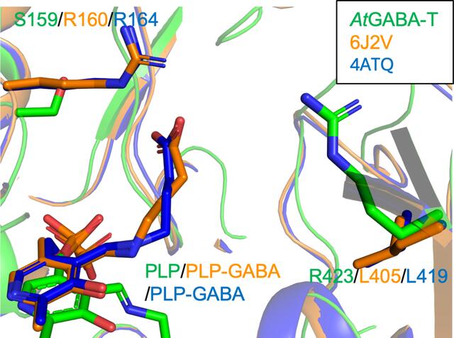 [Figure 3]
